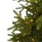 7ft. Pre-Lit Belgium Fir Artificial Christmas Tree, Clear LED Lights